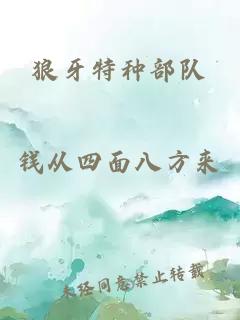 狼牙特种部队